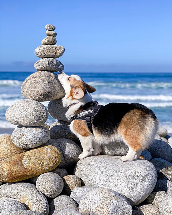 Waffles on the beach with stones
